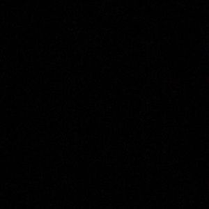 Meet your Posher, Jarrah